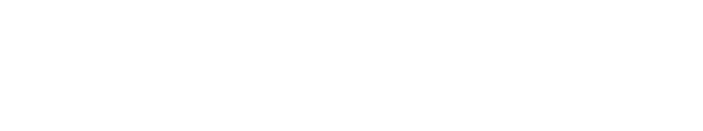 Maviq-software-logo