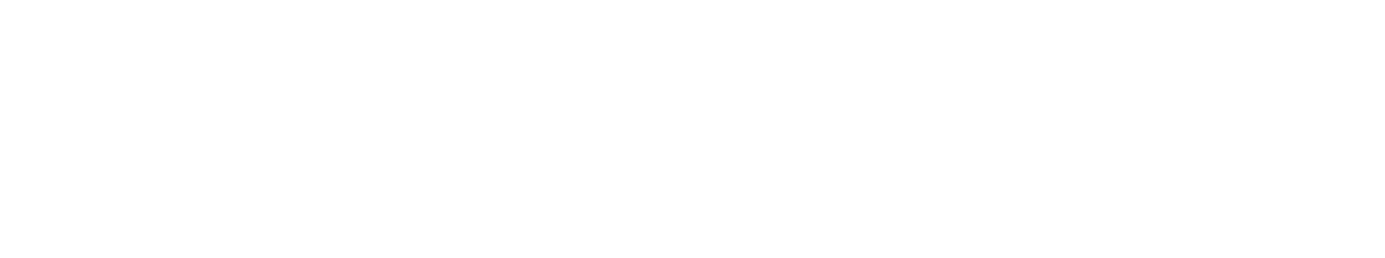 Maviq-software-logo